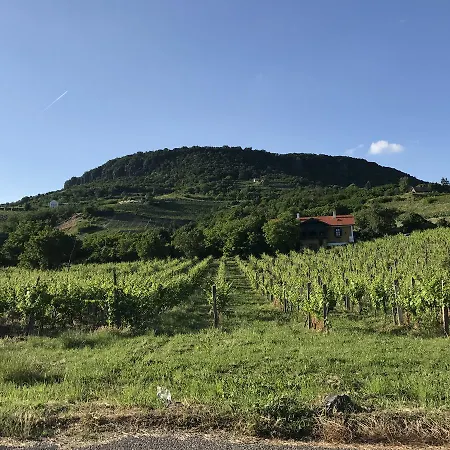 Balaton Rustic Badacsonytördemic
